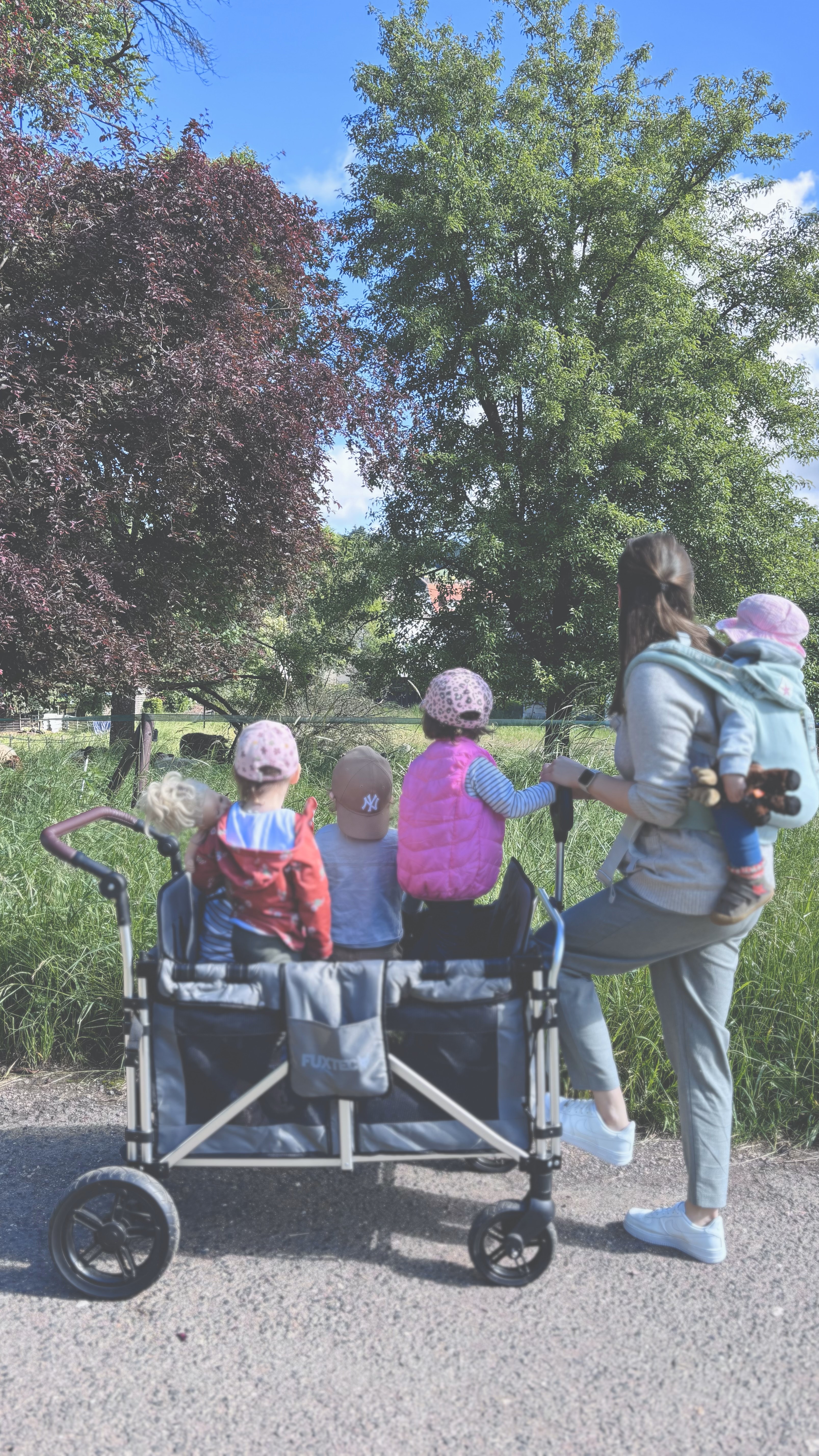 Feenland Kinderwagen